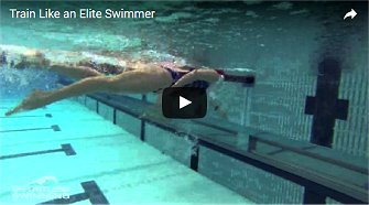 Speedo's Ultimate Guide to a Perfect Freestyle Swim Stroke!